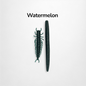 Watermelon- 5" stick worms- 6 pack